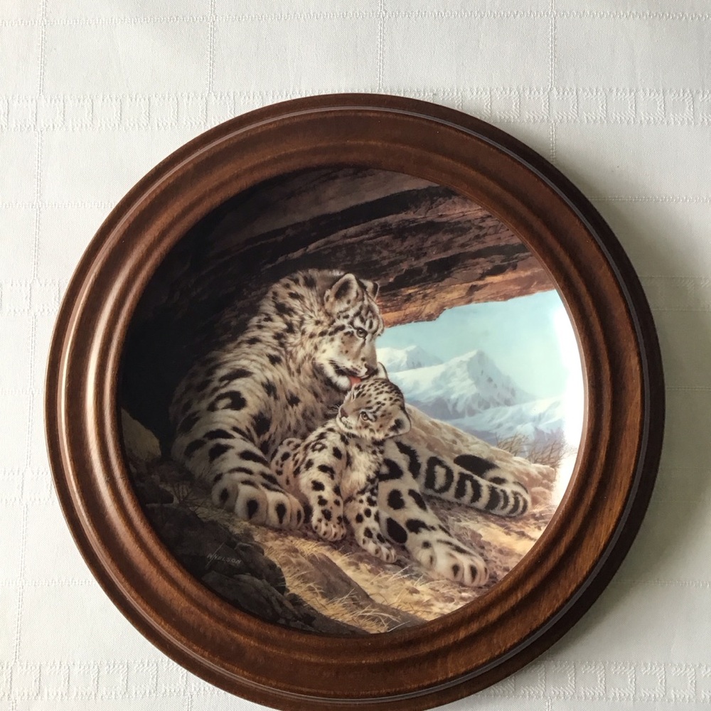 W S George - The Snow Leopard Plate with Van Hygan & Smythe Display Frame - Picture 6 of 12